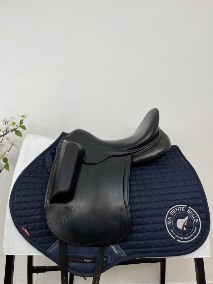 Aulion dressage